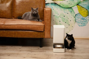 Día del Gato conoce los nuevos productos inteligentes de Xiaomi para mascotas