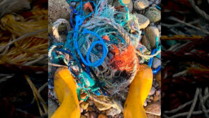 Conoce al hombre que convierte los desechos plásticos que se destinarían al océano en algo positivo con macetas