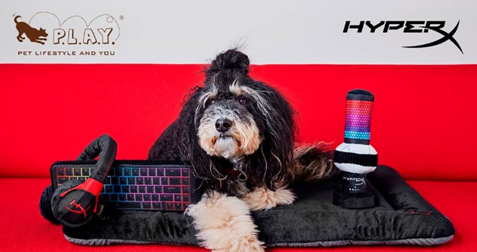 HyperX lanza una edición limitada de juguetes para mascotas inspirada en sus periféricos