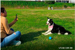 Cómo-tomarle-las-mejores-fotografías-a-tu-mascota-vivo-6