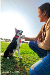 Cómo-tomarle-las-mejores-fotografías-a-tu-mascota-vivo-6