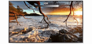 Los-detalles-más-pequeños-en-la-pantalla-más-grande-cómo-el-Neo-QLED-8K-de-Samsung-presenta-imágenes-asombrosas-7