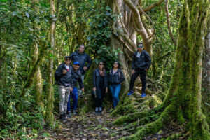 EPSON Perú refuerza su compromiso por la preservación de árboles en la Amazonía peruana
