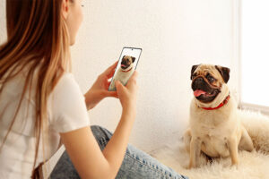 Mascotas: ¿Cómo sacarle mejores fotos a tu engreído con un smartphone?