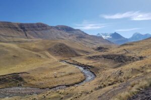 Bofedales altoandinos podrían mitigar de escasez agua en tiempos de sequía, según estudio de UTEC