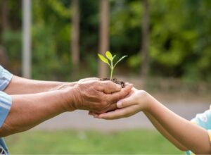 Día de la Tierra: LG desarrolla iniciativas de conservación y sostenibilidad ambiental