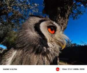 Xiaomi 14 Ultra: Captura imágenes legendarias con la nueva cámara repotenciada con Leica