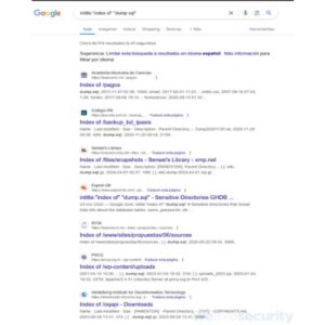 Google hacking: averigua cuánta información sobre ti o tu empresa aparece en los resultados ESET