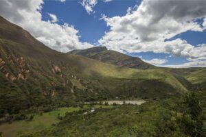 EPSON continúa adopción de árboles nativos y promueve la reforestación en Perú