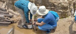 Investigadores de UTEC diseñan método de proceso de residuos de la minería artesanal para reforestar bosques amazónicos