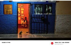 5 consejos de Fotografía nocturna con el Xiaomi 14T Pro: Conoce de cerca a la familia Ballumbrosio