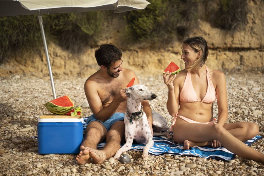 Promart Verano 2025: artículos de playa imprescindibles para un verano inolvidable