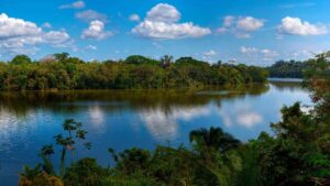 Descubre la Amazonía peruana: LG premia a sus clientes con un viaje a Puerto Maldonado