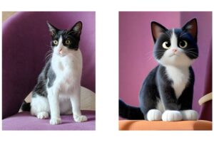 Celebra el Día del Gato con OPPO_ convierte a tu mascota en una caricatura