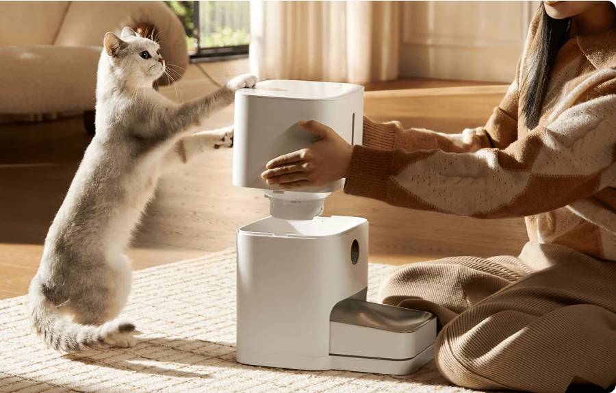 Este Día Internacional del Gato, cuida a tu engreído con Xiaomi_ salud, control y cariño