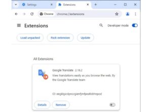 Extensiones del navegador: ¿cuáles son los riesgos ocultos y cómo mantenerse a salvo? ESET
