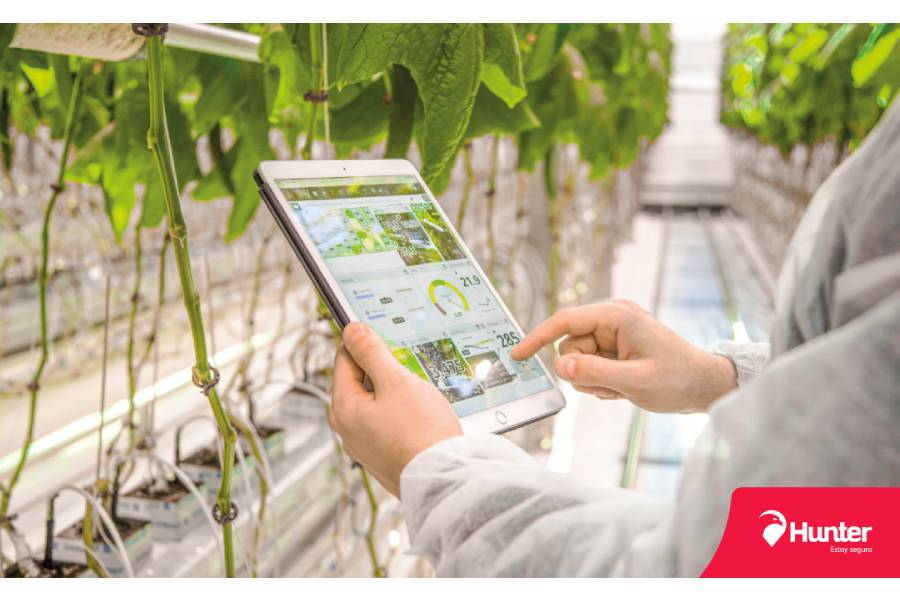 Hunter Perú impulsa la agricultura con tecnología IoT para cultivos más productivos y sostenibles