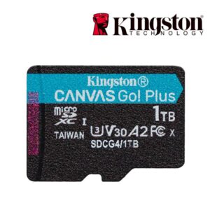 Kingston celebra el día de la fotografía destacando la importancia de la memoria en cada captura