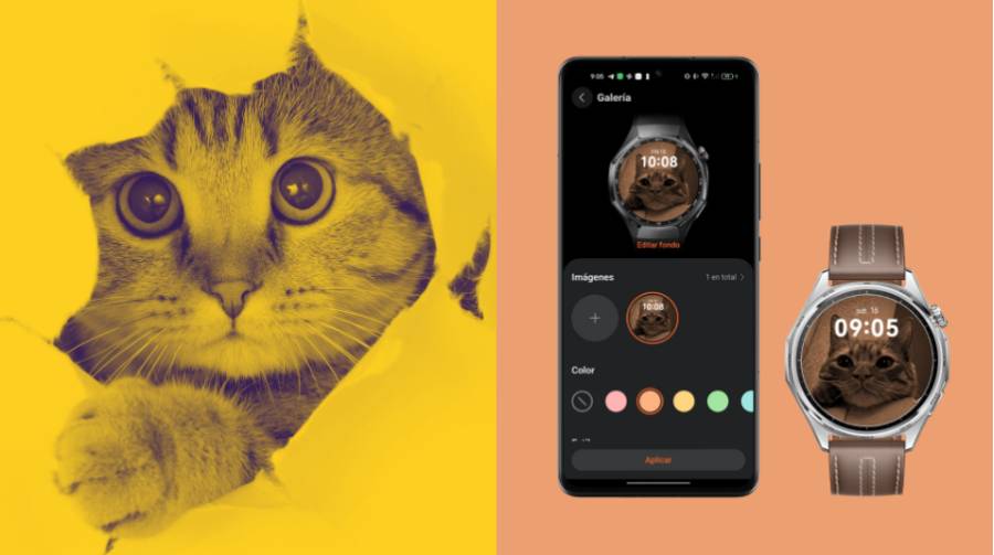 Así puedes poner una foto o video de tu mascota como esfera del reloj en tu HUAWEI WATCH