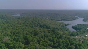 Diagnext e Intel muestran cómo la telecirugía y los diagnósticos con IA podrían transformar la atención en la Amazonía peruana