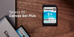 Fotografía en vacaciones: ¿qué tipo de usuario eres? Kingston