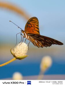 Fotógrafos de talla mundial capturan experiencias de viaje con el nuevo vivo X300 Pro