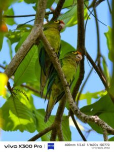 Fotógrafos de talla mundial capturan experiencias de viaje con el nuevo vivo X300 Pro