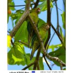 Fotógrafos de talla mundial capturan experiencias de viaje con el nuevo vivo X300 Pro