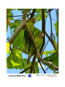 Fotógrafos de talla mundial capturan experiencias de viaje con el nuevo vivo X300 Pro