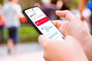Elecciones 2026: herramientas digitales que convierten tu celular en tu mejor aliado vivo