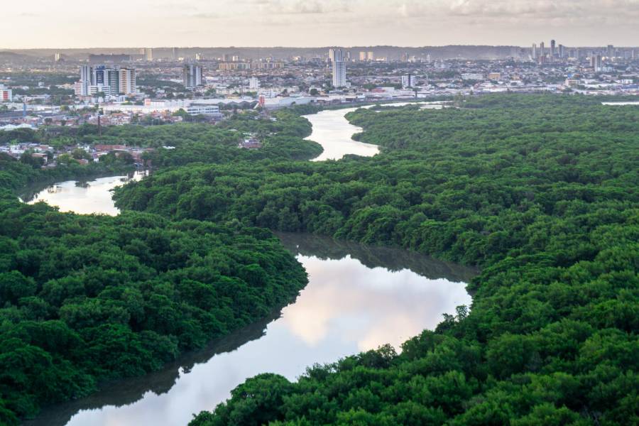 Proyectos de energía limpia evitarán 800 mil toneladas de emisiones de CO2 en la Amazonía para 2036 HUAWEI