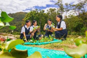 Samsung inicia la 13ª edición de Solve for Tomorrow en América Latina tras registrar un récord de capacitación en 2025