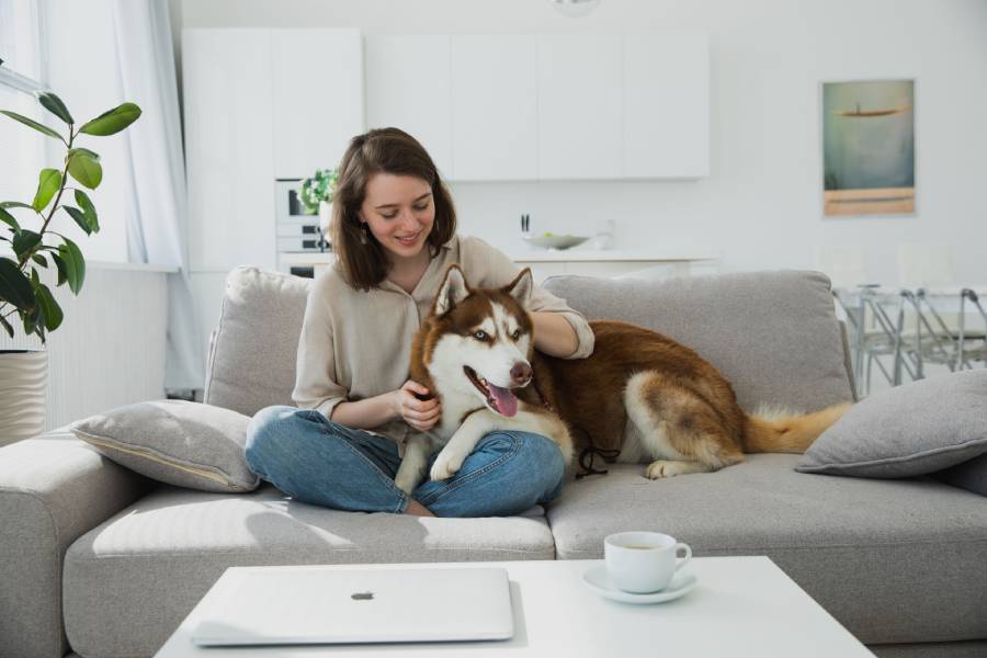 ¿Tienes mascotas en casa? 4 consejos para lavar tu ropa y eliminar pelos, olores y residuos LG