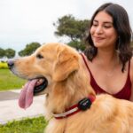 Mercado Pet Tech sigue creciendo en Perú: Hunter lanza ecosistema que combina GPS, salud preventiva y asistencia veterinaria para mascotas