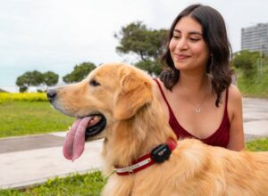 Mercado Pet Tech sigue creciendo en Perú: Hunter lanza ecosistema que combina GPS