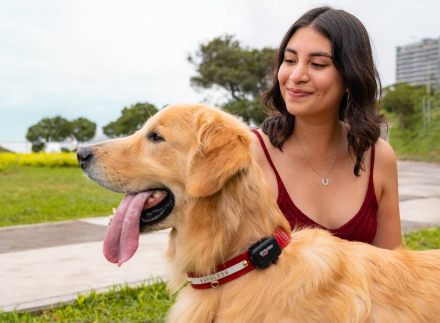Mercado Pet Tech sigue creciendo en Perú: Hunter lanza ecosistema que combina GPS