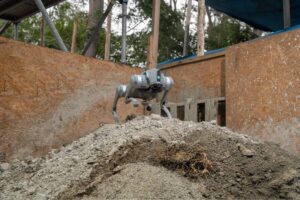 Terremoto en Colombia: ¿Los perros robots pueden ayudar a encontrar sobrevivientes entre los escombros?